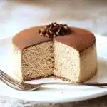 The Best Tiramisu Japanese Cotton Cheesecake