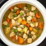 Slow Cooker Chicken Stew