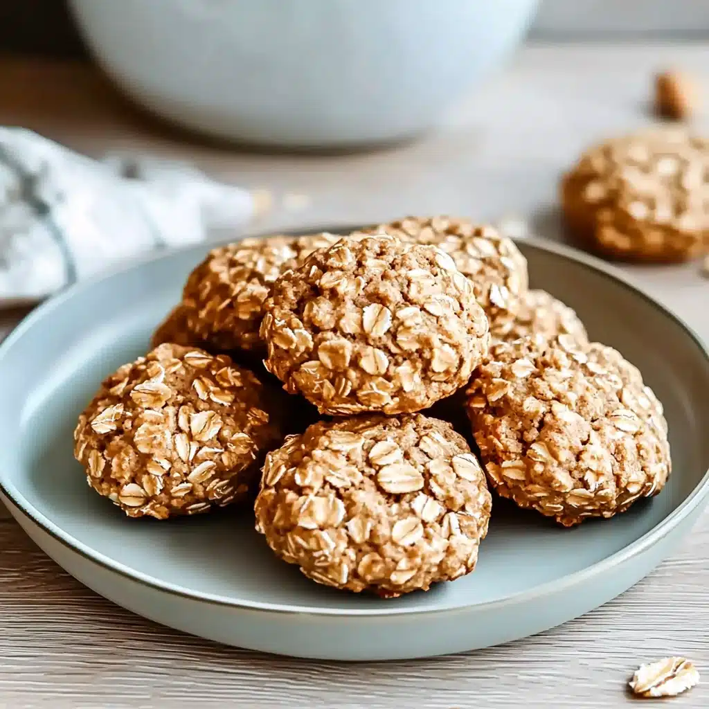 Toddler Breakfast Oatmeal Cookies