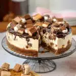 'mores Cheesecake Delight